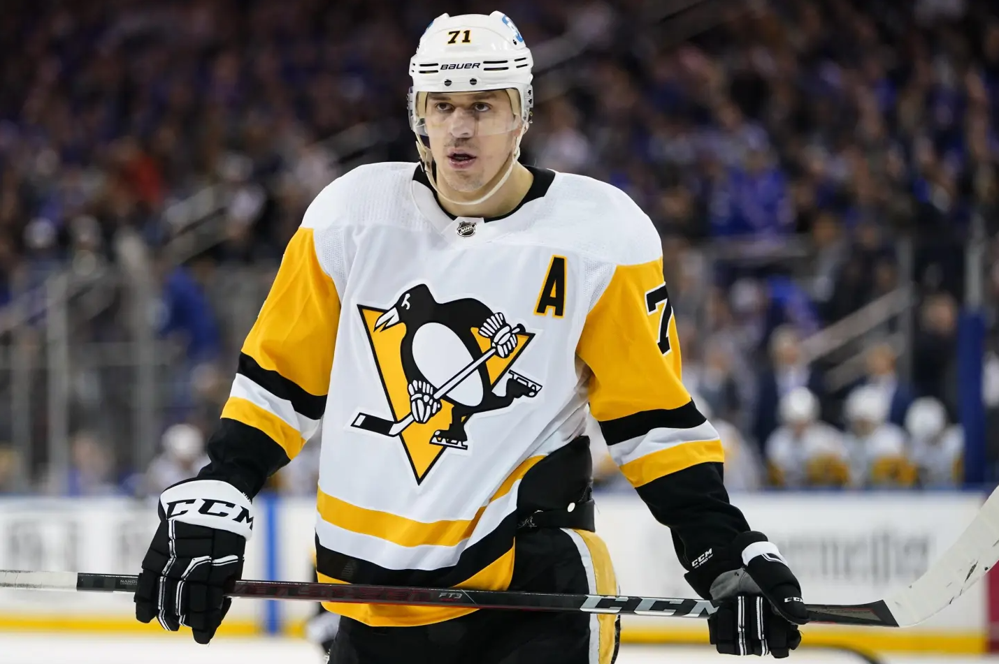 Malkin