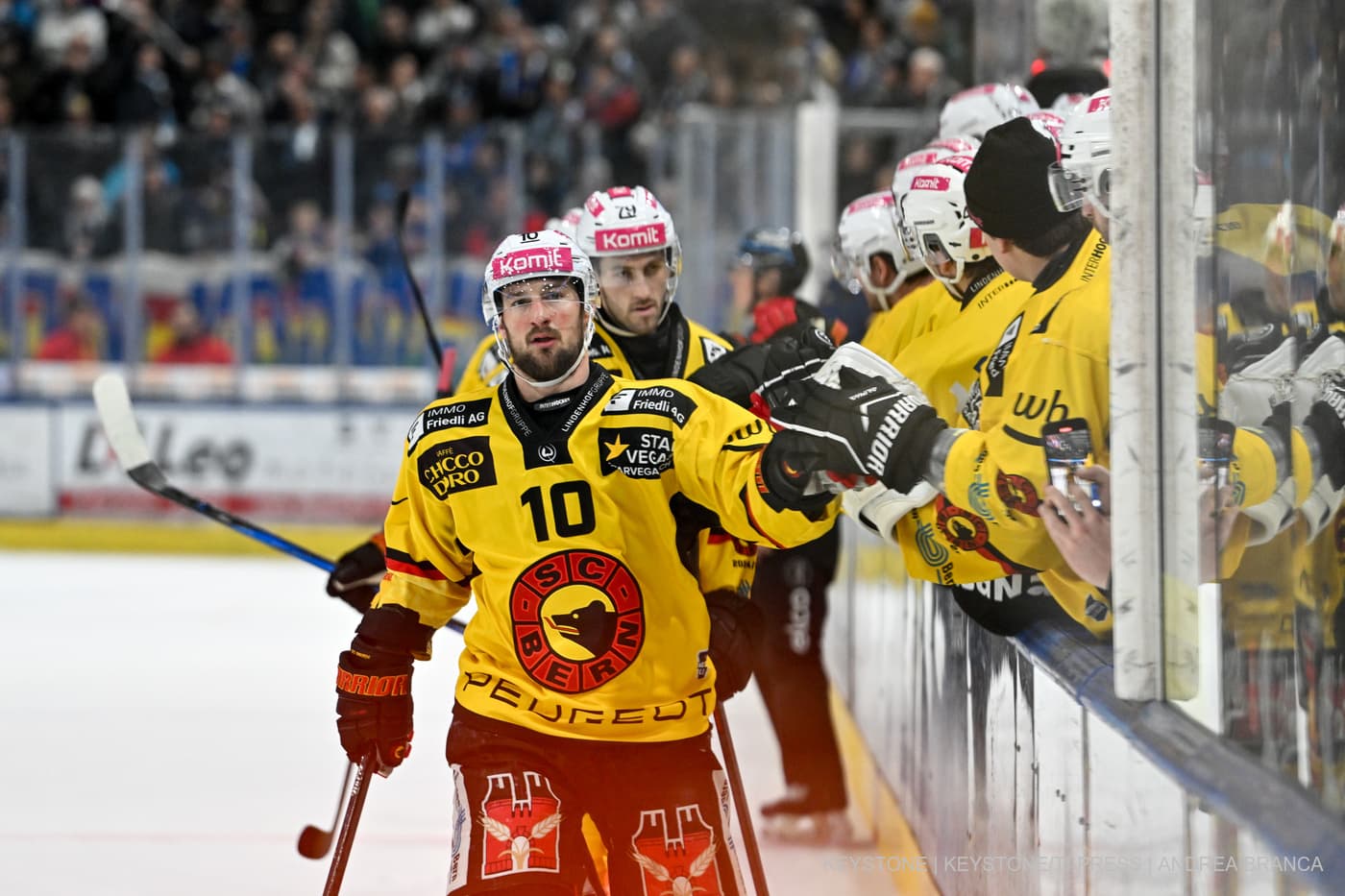 SC Bern